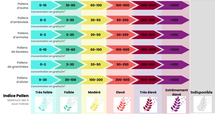échelle de l'indice pollen